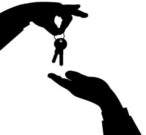 website management ownership