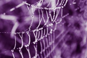 web strategy