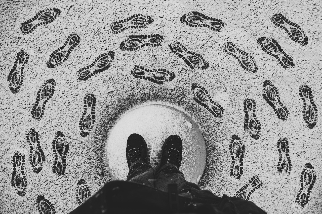 digital footprint and reputation