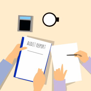 ppc audit services