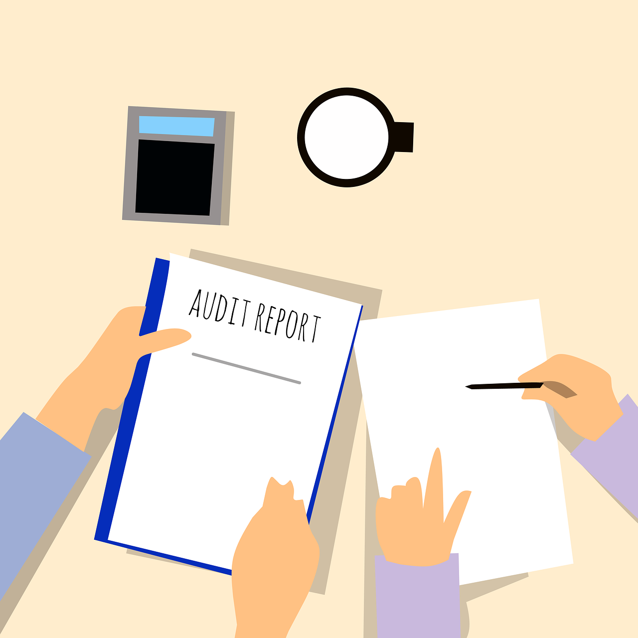 ppc audit services